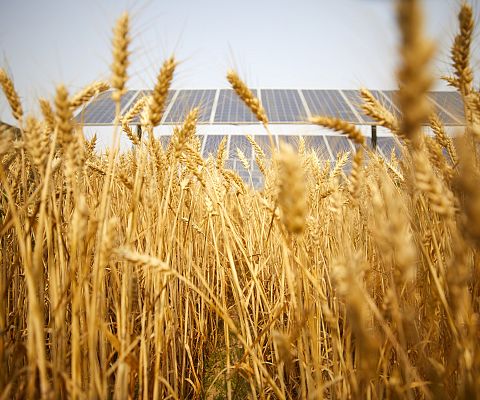 Grafika Odnawialne źródła energetyczne